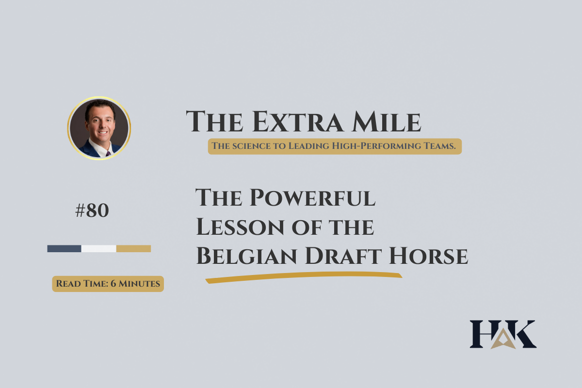 The Most Powerful Leadership Lessons Of Belgian Draft Horses